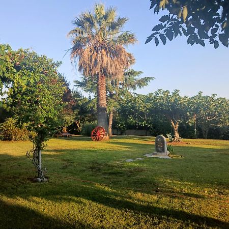 Apartments Karpetis A Green Paradise Psakoudia Zewnętrze zdjęcie