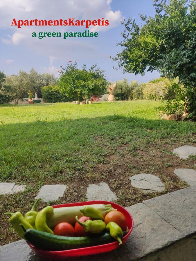 Apartments Karpetis A Green Paradise Psakoudia Zewnętrze zdjęcie