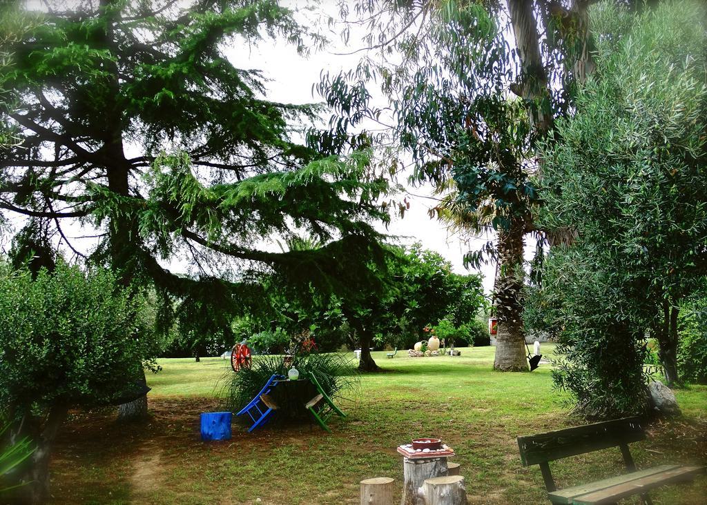 Apartments Karpetis A Green Paradise Psakoudia Zewnętrze zdjęcie