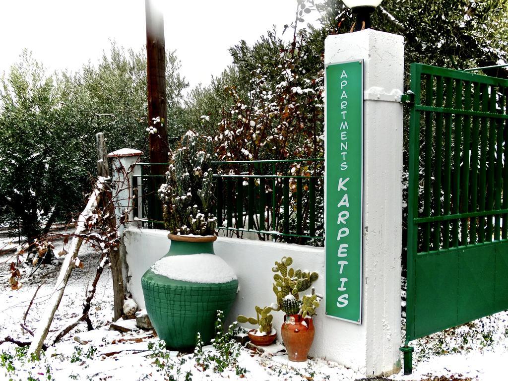 Apartments Karpetis A Green Paradise Psakoudia Zewnętrze zdjęcie