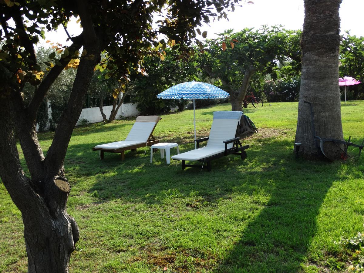 Apartments Karpetis A Green Paradise Psakoudia Zewnętrze zdjęcie